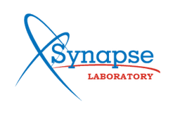 The Synapse Ideal